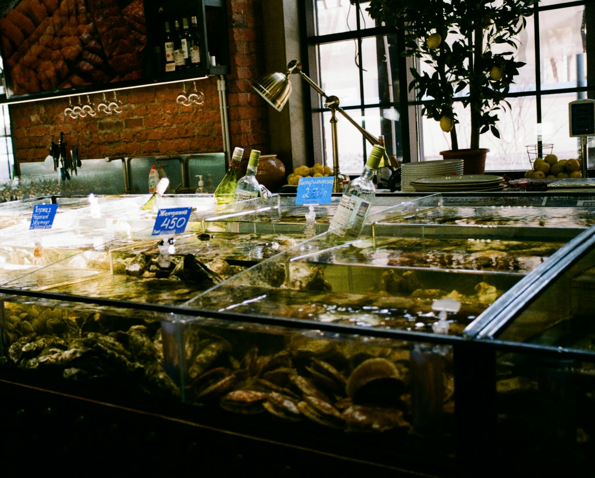 Fresh seafood displayed in tanks at an indoor market with vibrant lighting and decor.